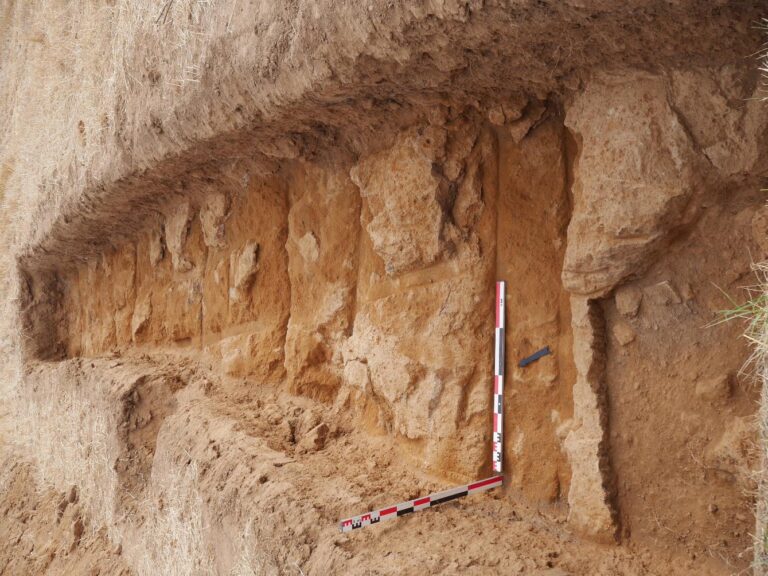 Fouilles de Civita Musarna, Viterbe