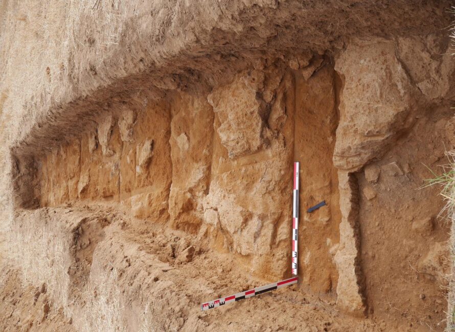 Fouilles de Civita Musarna, Viterbe