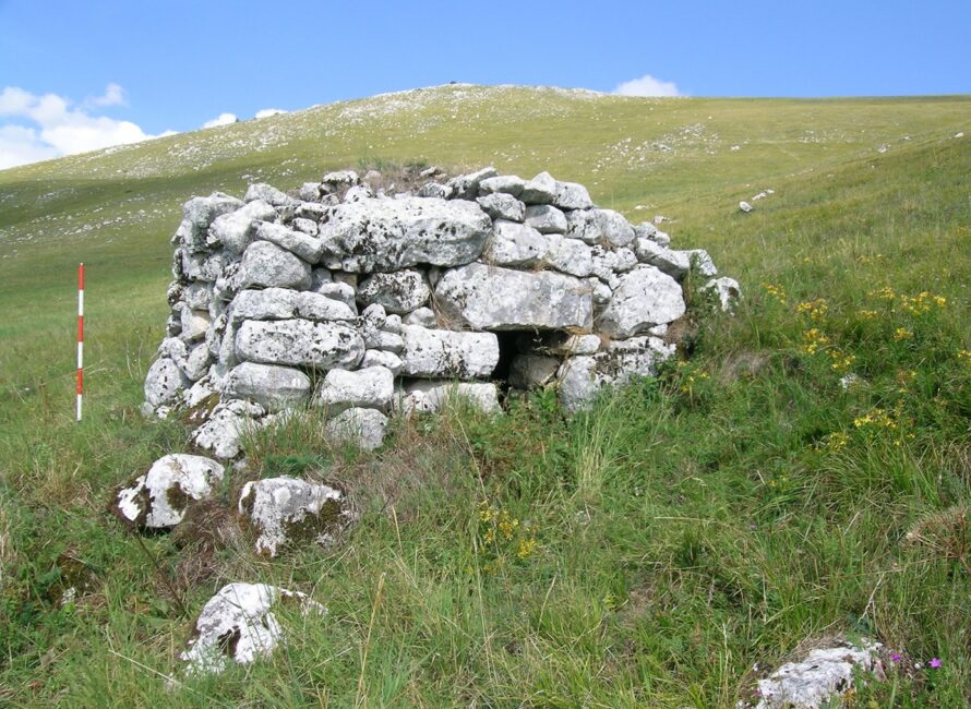 Site T14