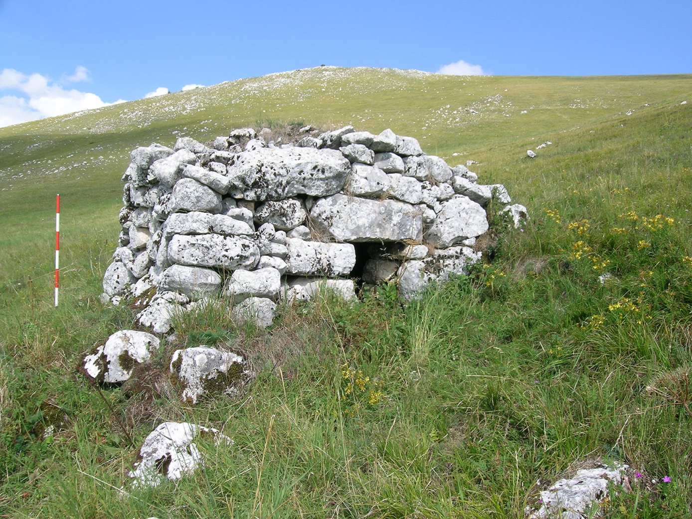 Site T14