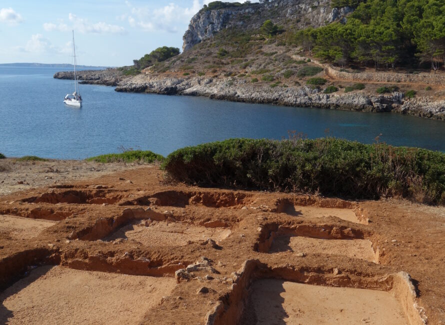 Vue sur les bassins