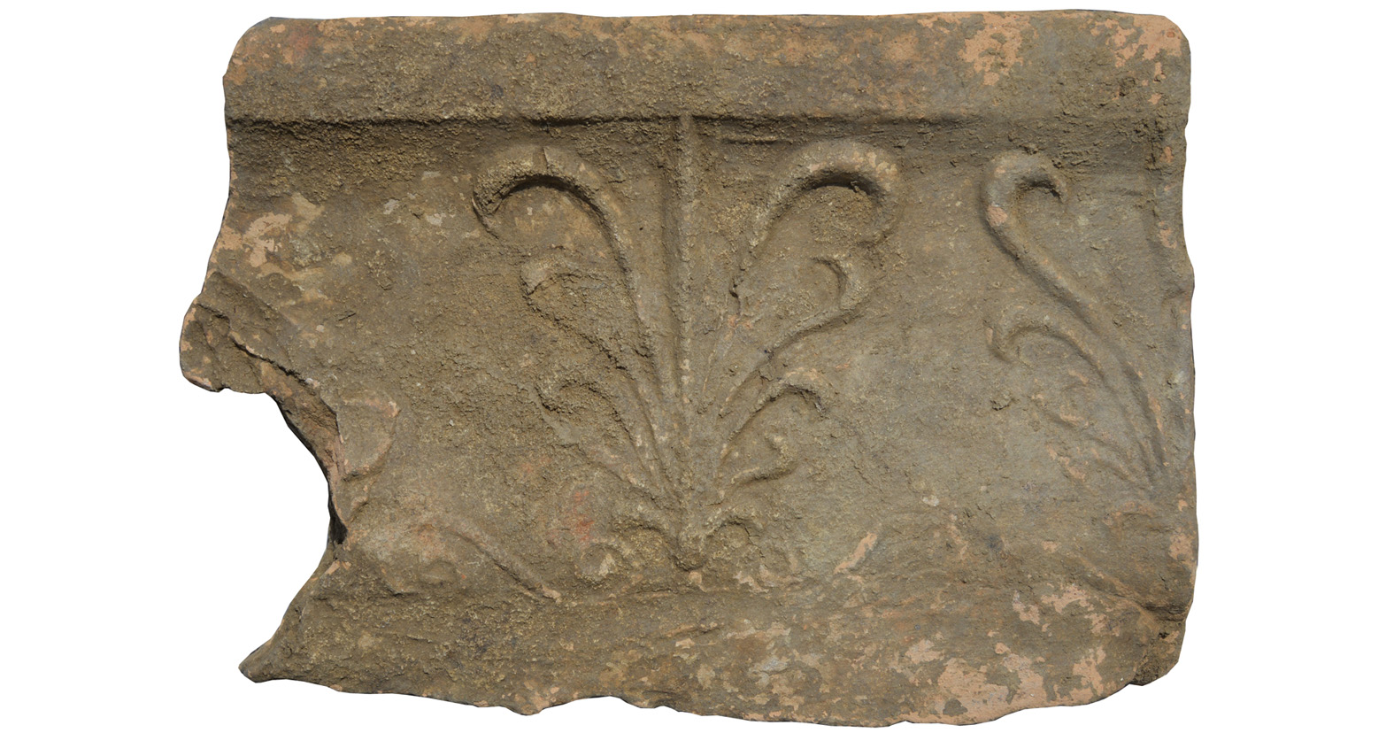Sima d’égout, avec palmettes et trace d’un mufle de lion