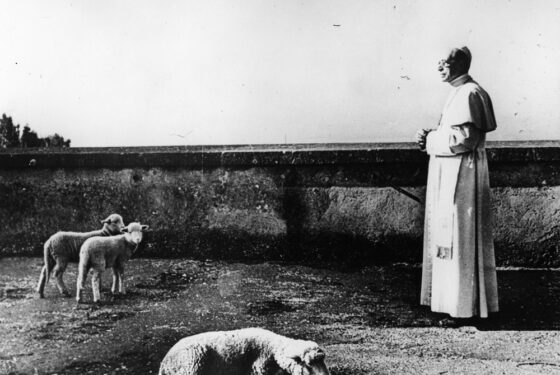 Le pape Pie XII dans les environs de la résidence papale de Castel Gandolfo