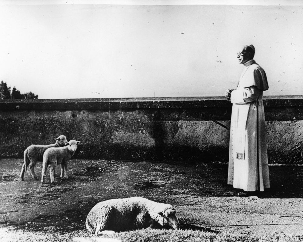 Le pape Pie XII dans les environs de la résidence papale de Castel Gandolfo