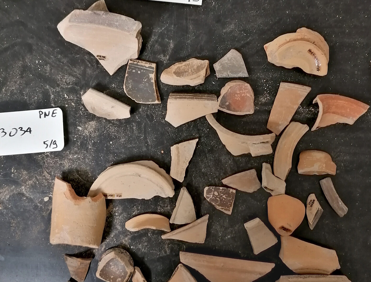 Cliché EFA / C. Rocheron, céramique des fouilles de 2019 en cours d’étude