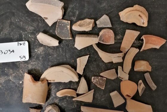 Cliché EFA / C. Rocheron, céramique des fouilles de 2019 en cours d’étude