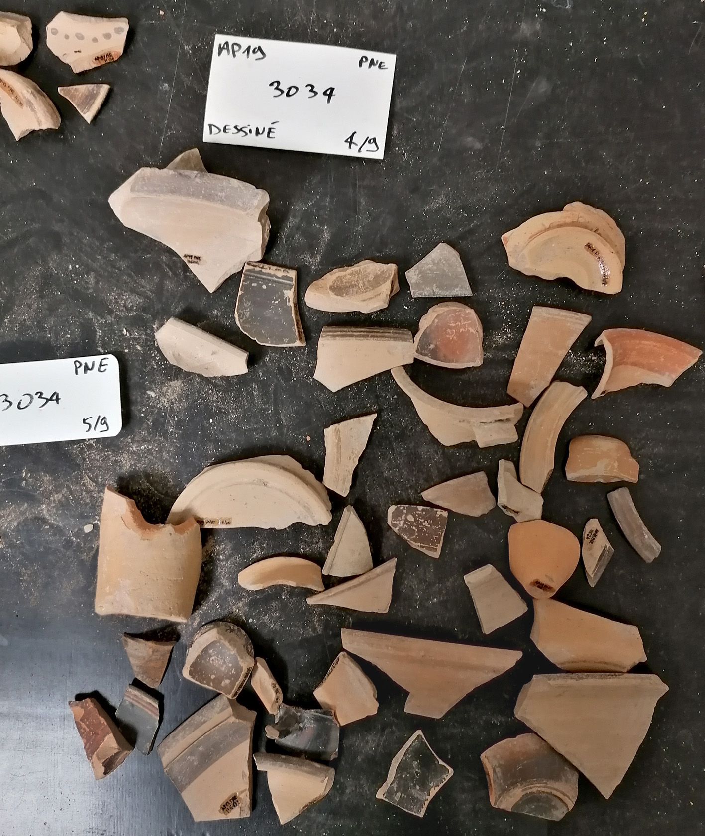 Cliché EFA / C. Rocheron, céramique des fouilles de 2019 en cours d’étude