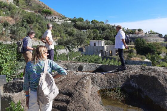 Momento di una delle ricognizioni effettuate a settembre 2022 presso il palmento di Monte Corvo, nei pressi di Forio