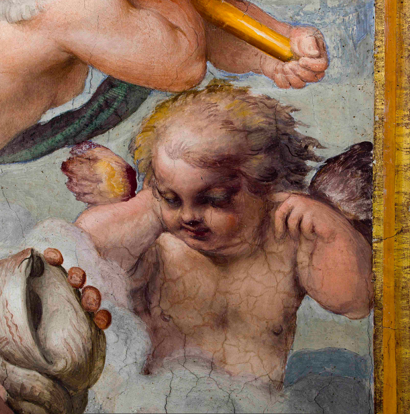 Programme EFR Carracci ConservArt – ANR CARRACCI