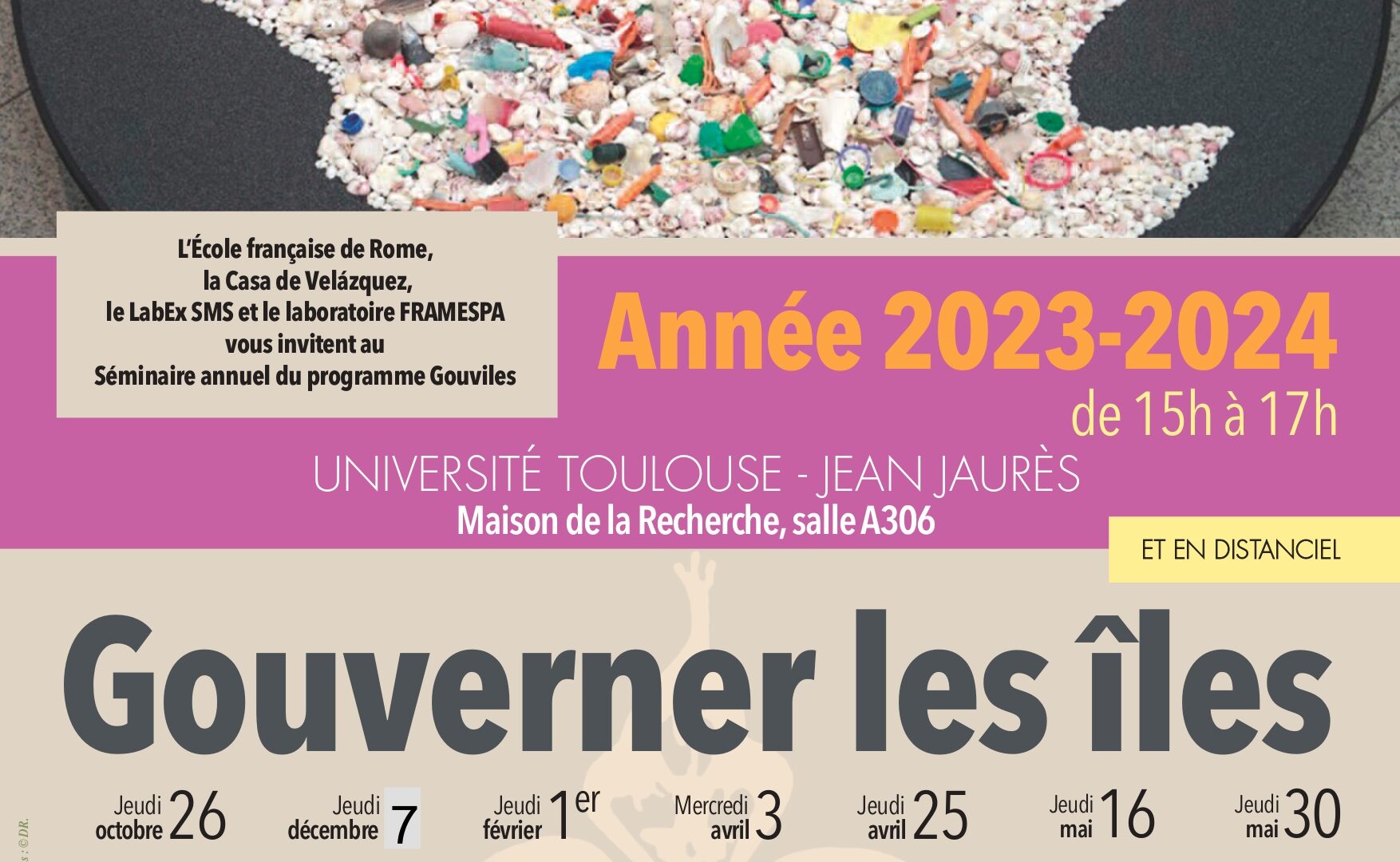 Risques et environnements insulaires