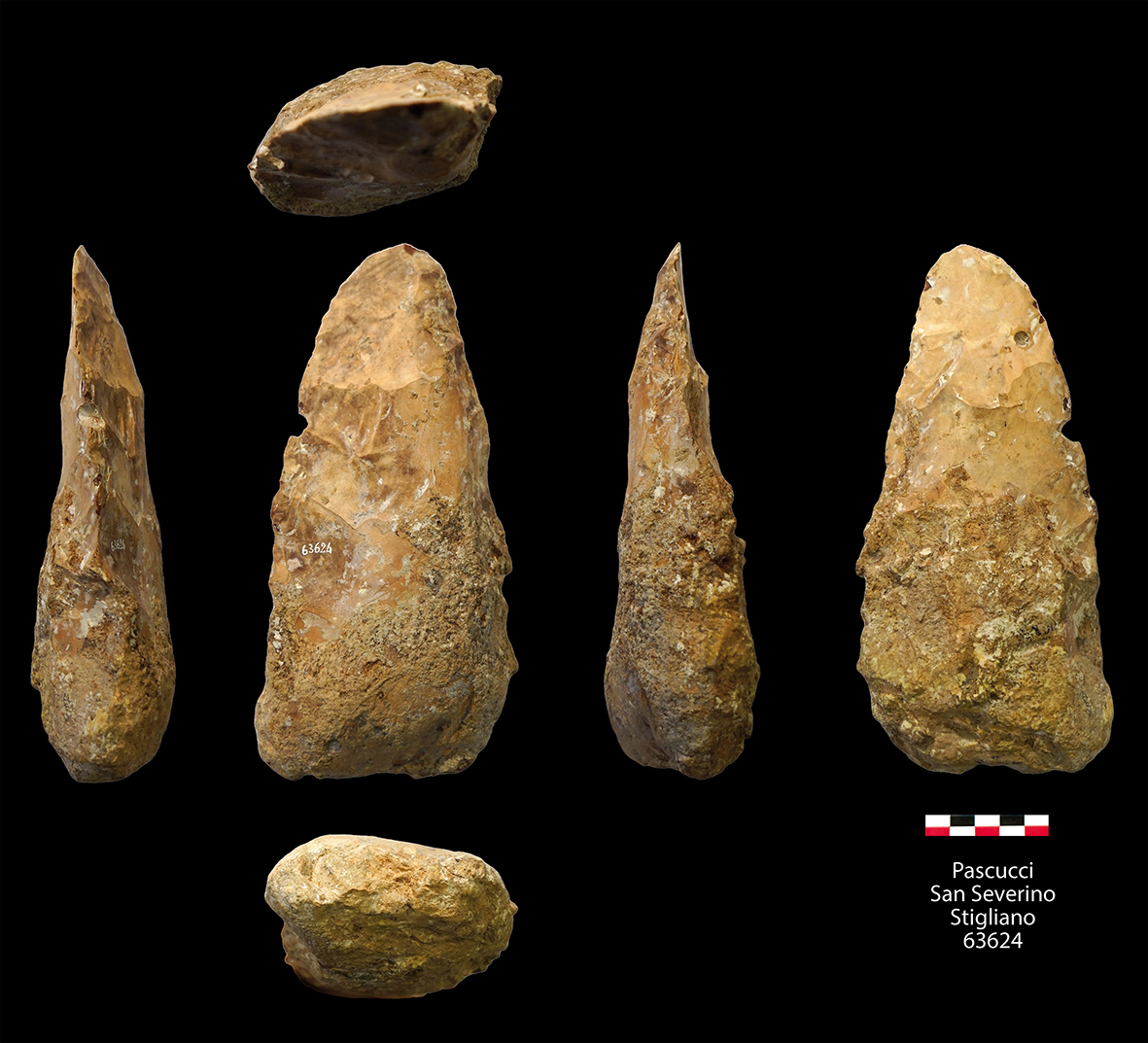 Archives Pascucci, exemple de biface exposé au Musée archéologique national d’Ancône