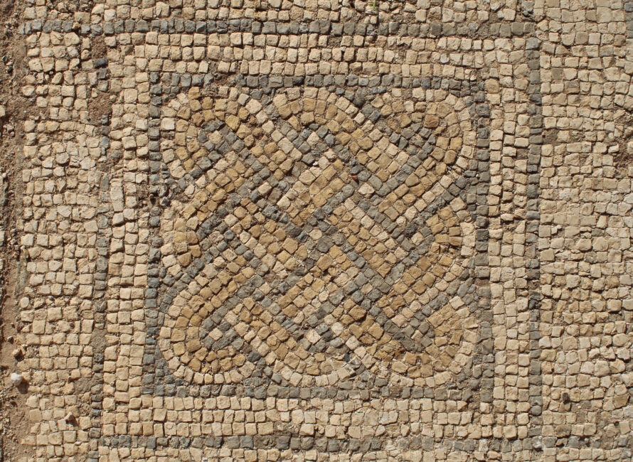Détail d’une mosaïque dans une des salles des grands thermes, 2024