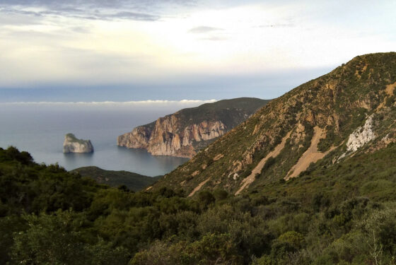 Miniere, minatori e ambiente nell’Iglesiente (Sardegna, XII-XIX secolo)