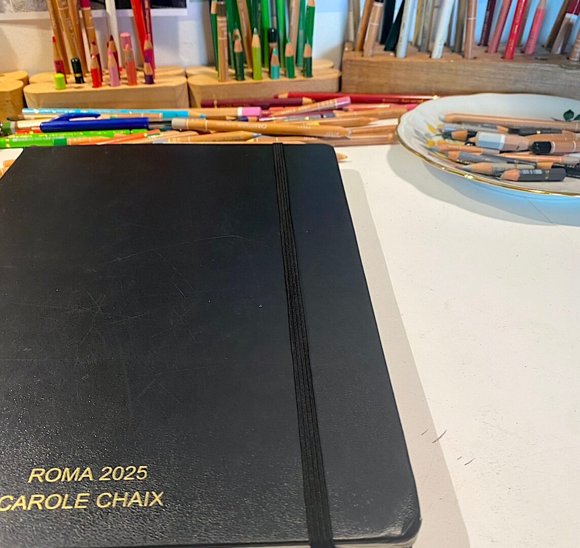 Carta bianca a Carole Chaix Dentro e fuori – sopra e sotto